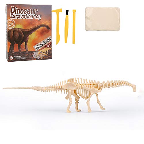 Kit Scavo di Scheletro Dinosauro Scavare Scoperta Fossile Dinosauro Giocattolo Scheletro Fossile Dinosauro Paleontologia Figura Giocattolo Regalo per 3 4 5 6+ Anni Bambini (Diplodocus)