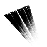 Cognizant