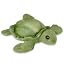 Lil Shelton the Sea Turtle 7
