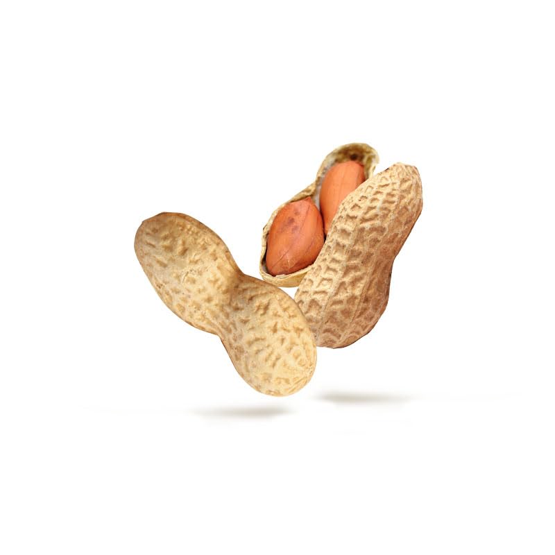 BESTPEANUTS IN SHELL BAG 300GM