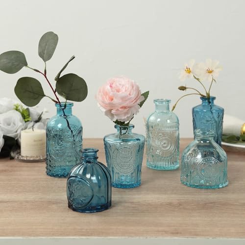 Efavormart Set of 6 Vintage Embossed Mixed Blue Glass Bud Vases, Decorative Apothecary Style Reed Diffuser Table Centerpieces