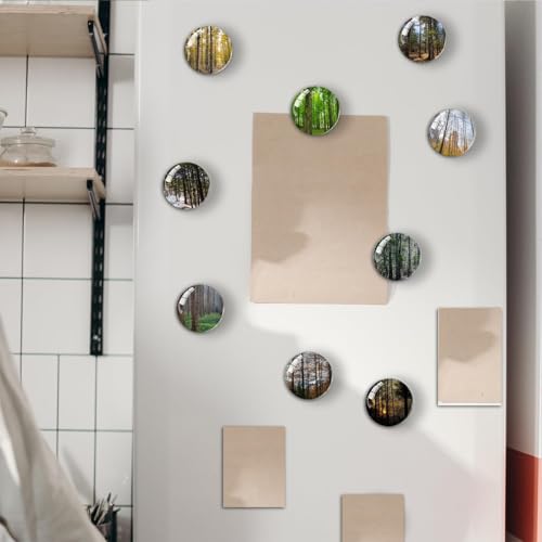 Imanes Redondos Decorativos para Refrigerador con Árbol miniatura 5