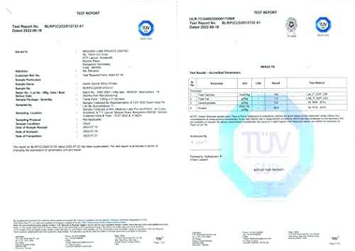 Image of Zenith Nutrition Whey Protein with Enzymes for Digestion | 26g protein (French Vanilla, 525gms)