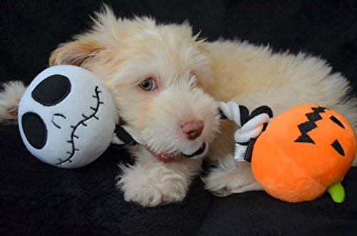 Disney Nightmare Before Christmas Pumpkin King Rope Tug Chew Dog Toy, Two Built-In Squeakers, Multi-Sensory Toy #TOP1