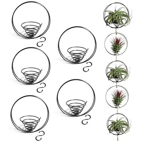 Wilafury Hanging Air Plants Holders, 5Pcs Decorative Airplant Plant Hanger