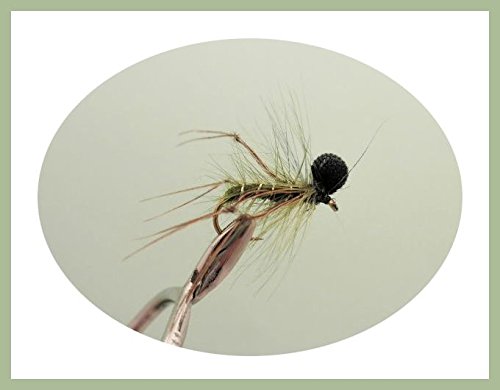 Lot de 6 fou d'olive Hopper mouches de pêche truite, Taille 10 Cover