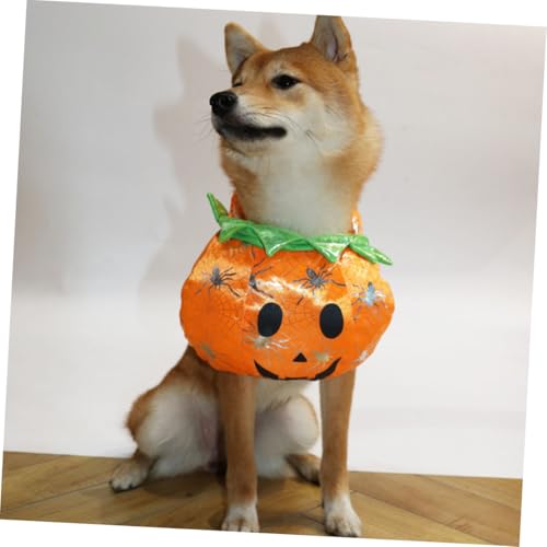 Disfraz Halloween Calabaza para Perro Pequeño miniatura 7
