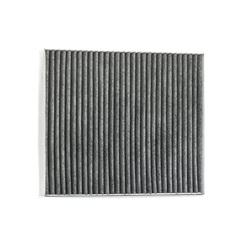 Filtron – Filtro Habitaculo Opel Meriva B Vauxhall Meriva B, Misura: 250 X 210 X 35 Mm