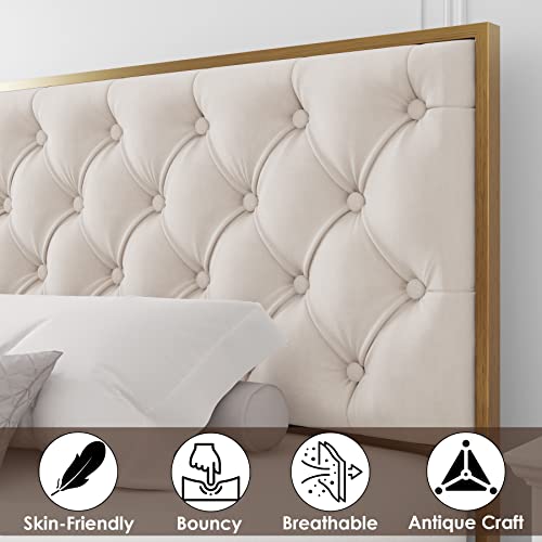 Hifit Queen Bed Frame With 4 Storage Drawers, Upholstered Queen Platform Bed Frame With Button Tufted Headboard, Heavy Duty Mattress Foundation With Wooden Slats, No Box Spring Needed, Golden & Beige #TOP3