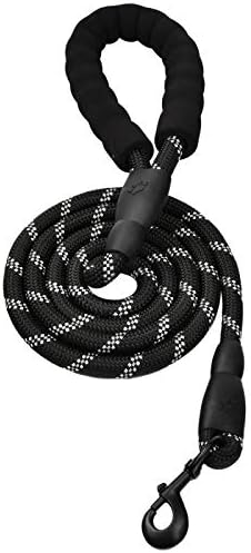 5 FT Durable Dog Leash with Comfortable Padded Handle and Highly Reflective Threads Dog Leashes for Medium and Large Dogs (Black)