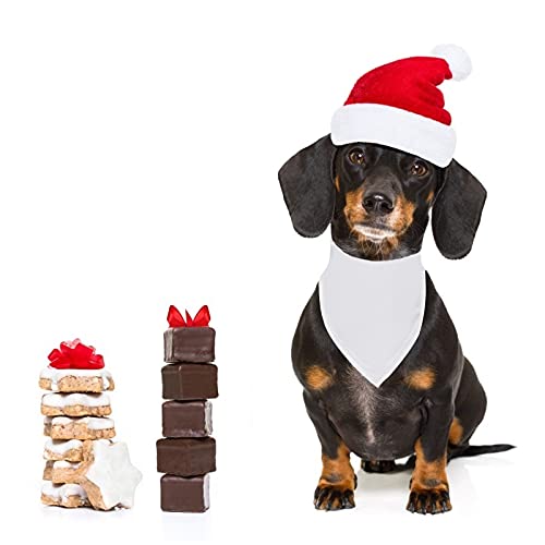 12 Pieces Sublimation Pet Bandanas White Heat Transfer Triangle Dog Scarf Blank Big Washable Diy Polyester Dog Bibs Kerchief Apparel Accessories For Dogs Puppy Cats (White-12Pack) #TOP6