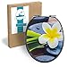 Produktbild Calmwaters® WC Sitz Wellness Motiv Wellness Blume mit doppelter Absenkautomatik, Fast-Fix-Befestigung aus Metall, universale O-Form, stabiler Holzkern Toilettendeckel, ovaler Toilettensitz, 26LP2831
