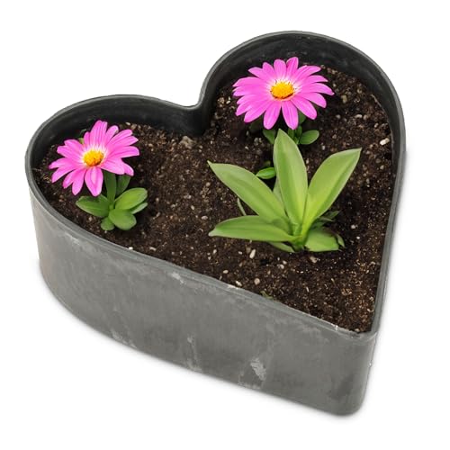 Maceta de corazón vintage negro, 26 x 24 x 7,5 cm, resistente a la intemperie, decoración para tumbas