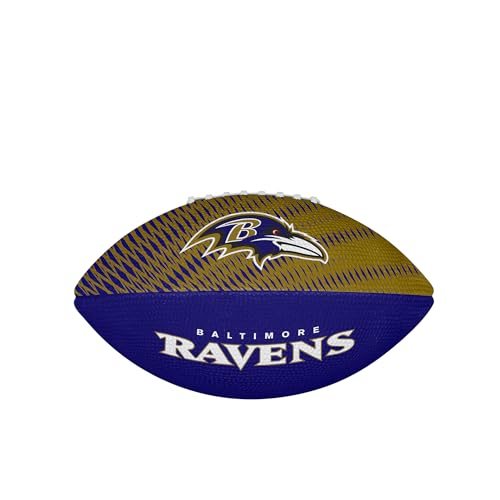 Image of WILSON Unisex NFL Team Tailgate Footballs