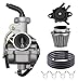 555658 carburetor for 206 LO206 M-SERIES 206 3.3hp 8.8hp 204cc Karting Microstocks