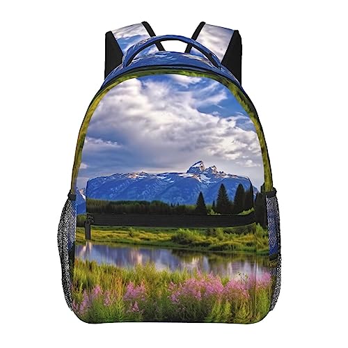 Sac à dos Grand Teton National Park contre le mal de dos en voyage noir ergonomique