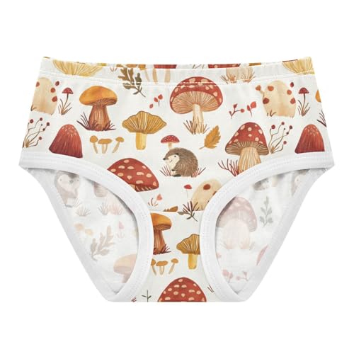 ZZKKO Fall Hedgehogs and Mushrooms Girls Underwear Toddler Panties for Girls Comfort Brief Size 8Y