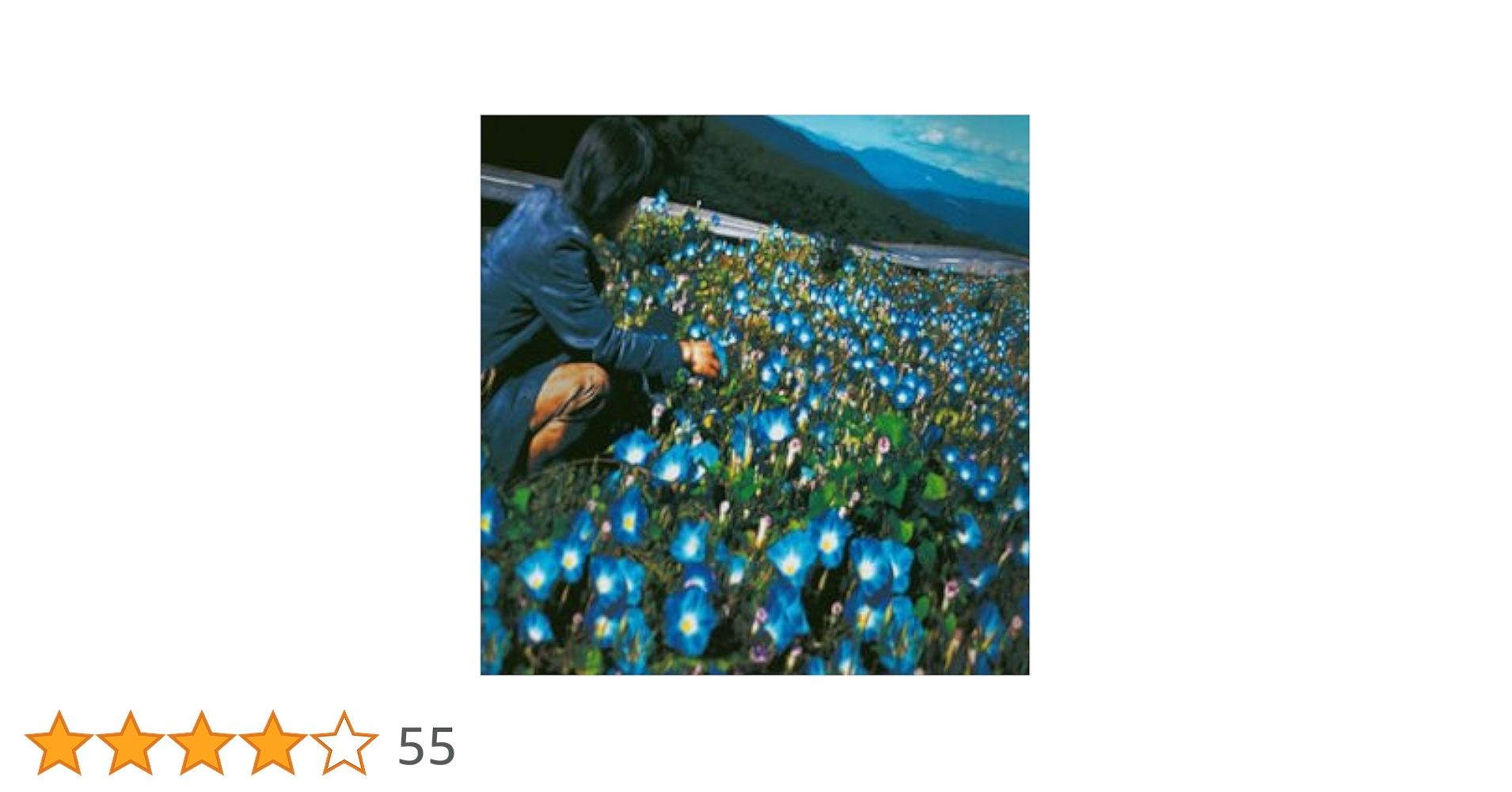 朝顔/レミオロメン Amazon.co.jp: 朝顔 (CCCD): ミュージック