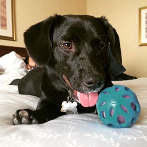 JW Bola Crackle Ball Para Cães, Azul, Grande