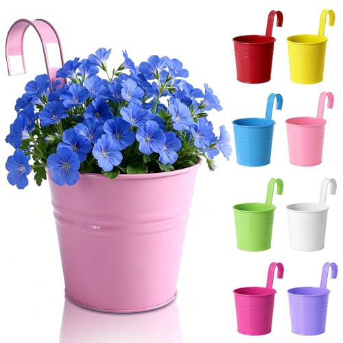 Herbst 8 macetas colgantes de 16 cm tamaño