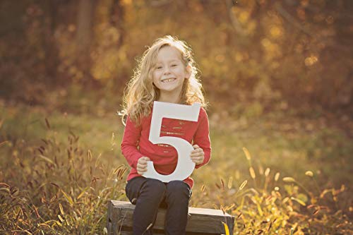 5 Sign Wooden Number Children's Photo Prop Five Kids Photography Prop Birthday Photo Shoot Prop Wooden Number Sign