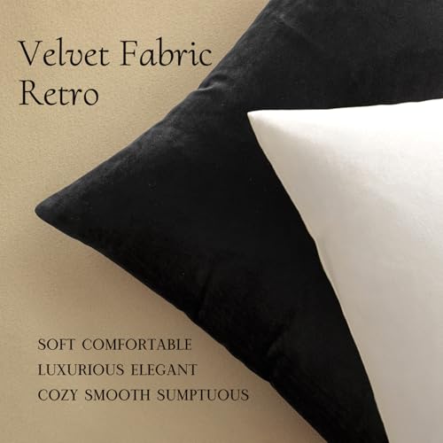 Image of MIULEE Pack of 2, Velvet Soft Soild Decorative Square Throw Pillow Covers Set Cushion Cases Pillowcases for Sofa Bedroom Car18 x 18 inch 45 x 45 cm