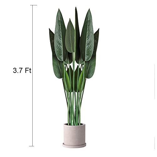 image for Fit Choice 5.3 Ft Premium Artificial Travelers Palm Tree, 3.3 Ft Fiddl