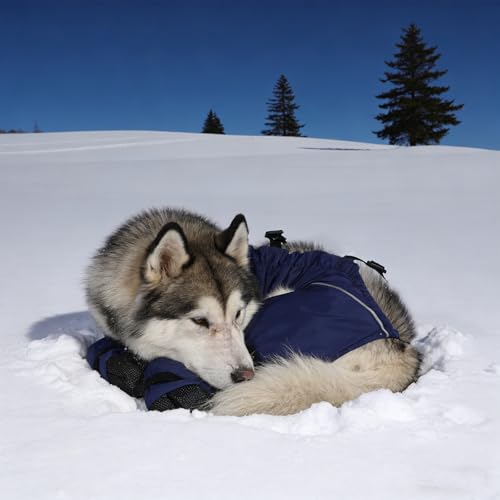 Combinaison chien imperméable pour protéger de la neige et du sel - 7