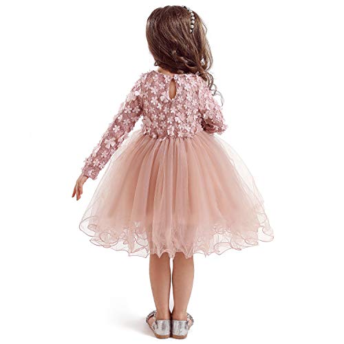 Ttyaovo Girls Long Sleeve Lace 3D Flowers Tulle Layered Princess Party Dresses Size(120) 3-4 Years Pink #TOP1