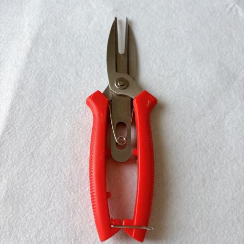 K[fjO nT~    nT~  nT~ Ap bh