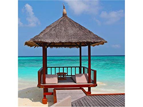 Anger And Self Control