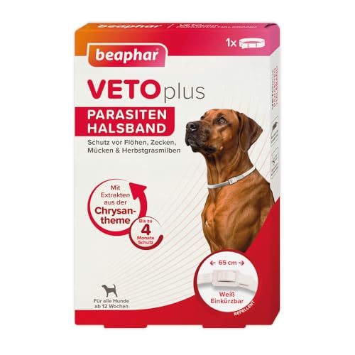 Getreidefreies katzenfutter trockenfutter test