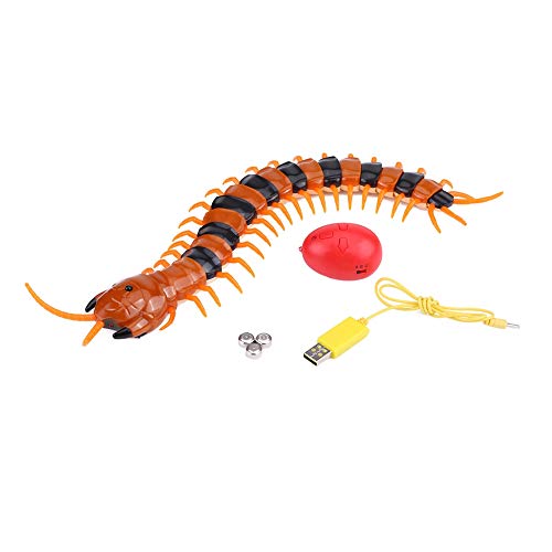 Exteriores, Guild WOHPNLE Realista De Gran Tamaño RC Cienpied Scolopendra Juguete Animal, 1 UNID De Control Remoto por Infrarrojos Falso Cienpied Scolopendra RC Juguete