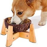 Dog Bowl for Cats and Small Dogs - All-Natural, Polished Coconut Shell Bowl with Wood Stand - Elevated/Raised 5-inch Total Height - Food-Contact Suitable