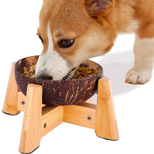 Dog Bowl for Cats and Small Dogs - All-Natural, Polished Coconut Shell Bowl with Wood Stand - Elevated/Raised 5-inch Total Height - Food-Contact Suitable
