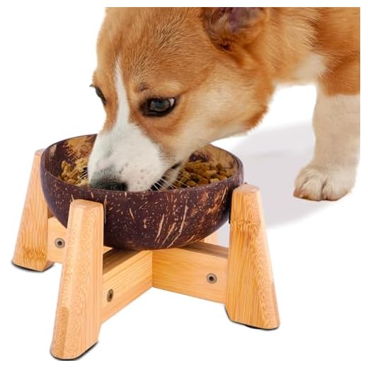 Dog Bowl for Cats and Small Dogs - All-Natural, Polished Coconut Shell Bowl with Wood Stand - Elevated/Raised 5-inch Total Height - Food-Contact Suitable