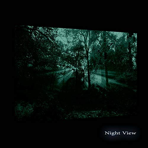 Startonight Canvas Wall Art - Autumn Sun Rays, Framed 32 X 48 Inches #TOP1