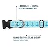 Buckle-Down Pet Collar, Dog Collar Plastic Buckle, Anchor Close Up Turquoise Blues, 16 to 23 Inches 1.5 Inch Wide #4
