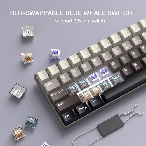 Image of MageGee Portable 60% Mechanical Gaming Keyboard, Hot Swappable Blue Whale Switch, RGB Backlit Compact 68 Keys Mini Wired Gradient Custom Keyboard for Windows Laptop PC, with Silencing Cotton, Black