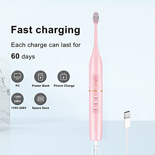 Image of kingheroes Electric Toothbrush Set, Comes with 8 Brush Heads & Travel Case,4 Modes with 2 Minutes Built in Smart Timer, One Charge for 60 Days, 42000 VPM Motor (Pink)