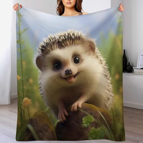 Couverture flanelle hérisson polaire douce pour canapé-lit et sofa - 2