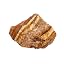 Tigers Eye