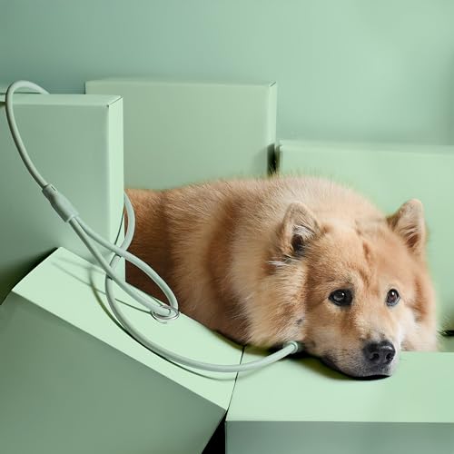 ne&no® Hundeleine 1,5 m Loft Design, schmutz- & wasserfest, Führleine für Hunde, Dog Leash, grün