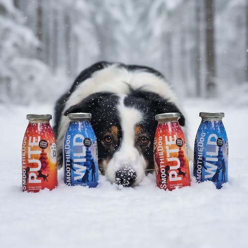 SmoothieDog Winter-Edition 6X WILD - Limited Edition - Hundesmoothie, je 250ml, Zucker- und Glutenfrei, Flüssignahrung für Hunde, viele Anwendungsmöglichkeiten