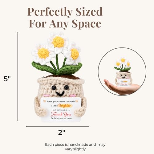 Image of Thank You Gifts for Women, Crochet Daisy Appreciation Gift, Handmade Flower Desk Decor, Teacher Coworker Nurse Therapist Gift, Encouragement Keepsake for Friend, Office Decor