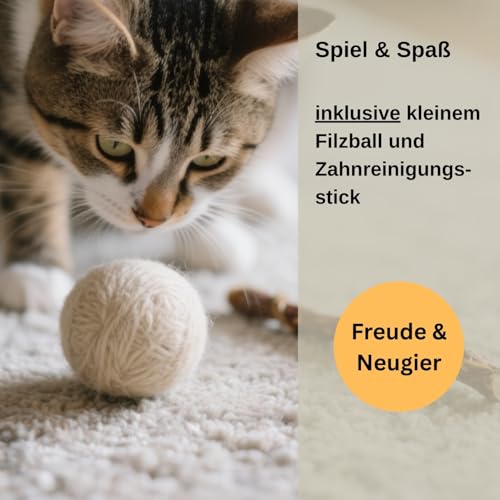 XL Katzenhöhle Katzenbett Katzenhaus – feinste Romney Wolle – kräftig gefilzt – außen robust & innen kuschelig weich – 3 Farben – Hellgrau