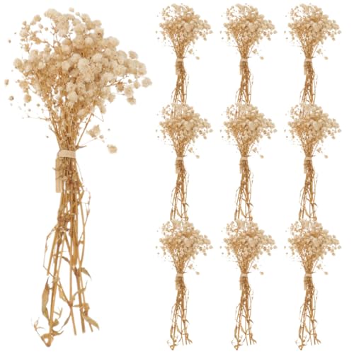 Ramo de flores secas Babysbreath 10 ramos 12cm natural miniatura 1