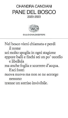 Pane del bosco. 2020-2023
