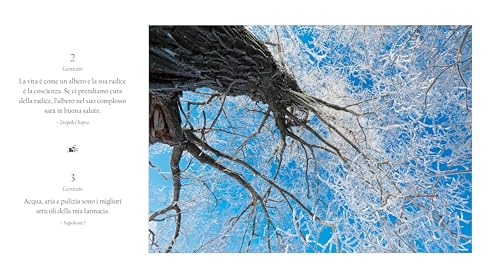 365 Idee Per Una Vita Sana E Felice. Nuova Ediz. - 8