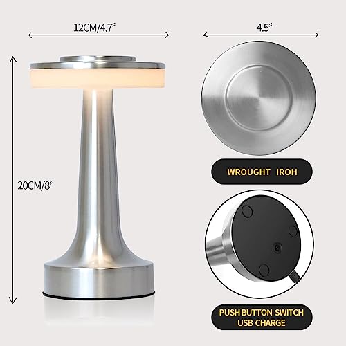 Leroxo Portable Metal Led Table Lamp,3 Color Touch Sensor Rechargeable Desk Lamp,3-Levels Brightness Room Decor Table Lamp,Bedside Lamp,Night Light For Kids Nursery,Dining Room Lamp(Silver) #TOP5
